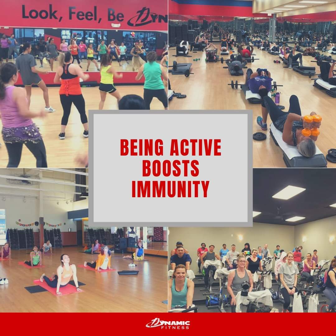 How Does Exercise Affect Your Immune System? - Dynamic Fitness